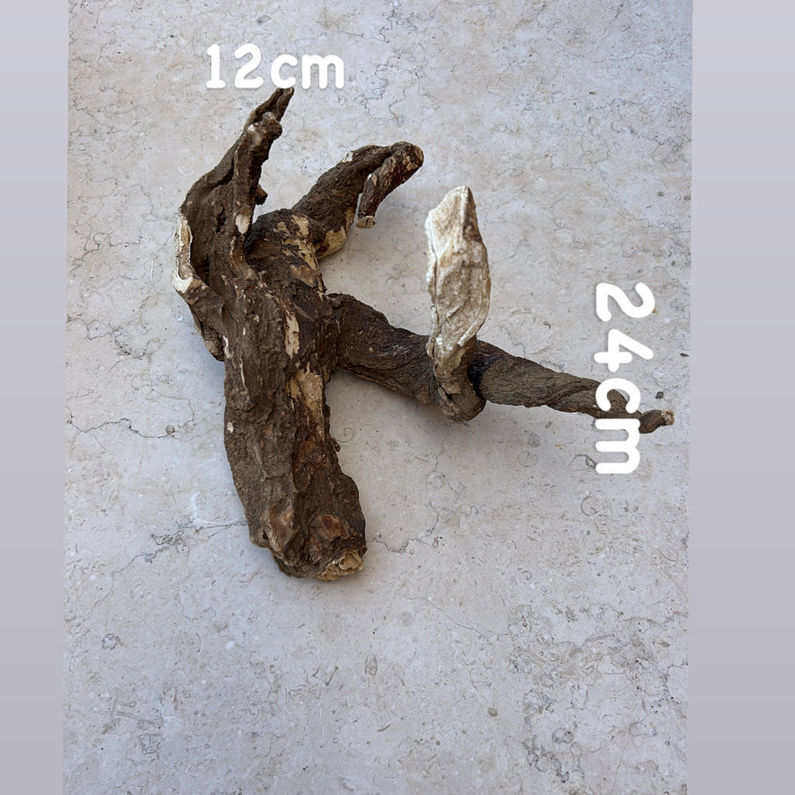 Image for Wild Cretan Mandrake Whole Root 495gr