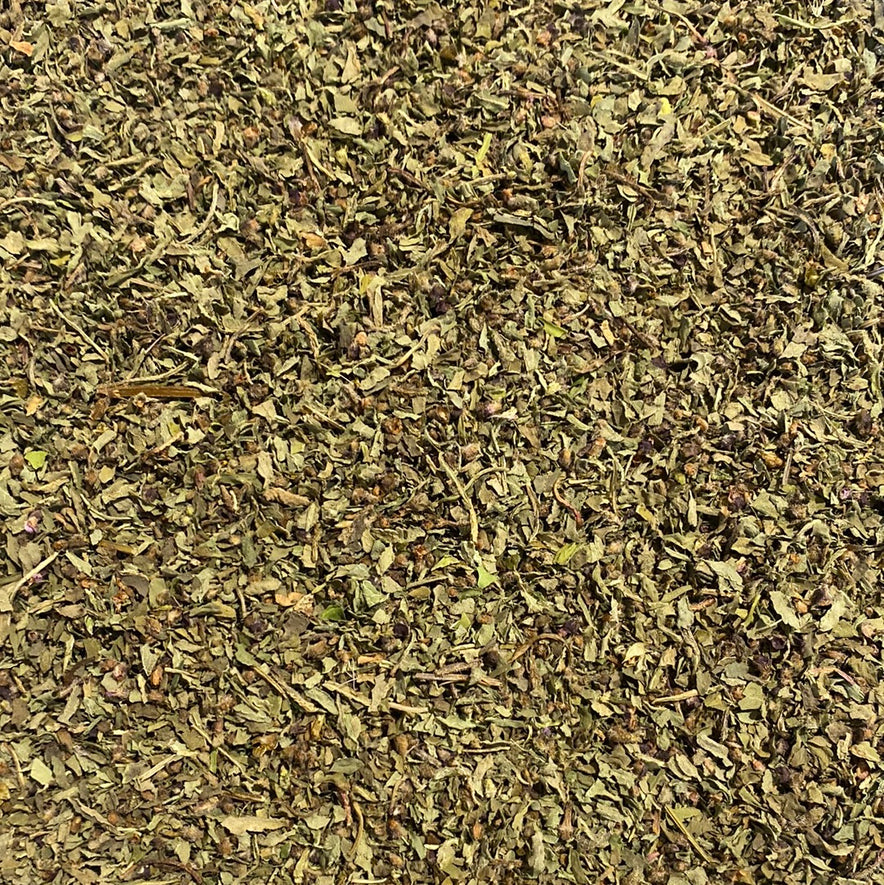 Image for "Kapoor" Tulsi / Holy Basil | Our Biodynamic Cultivation (Ocinum Sactrum)