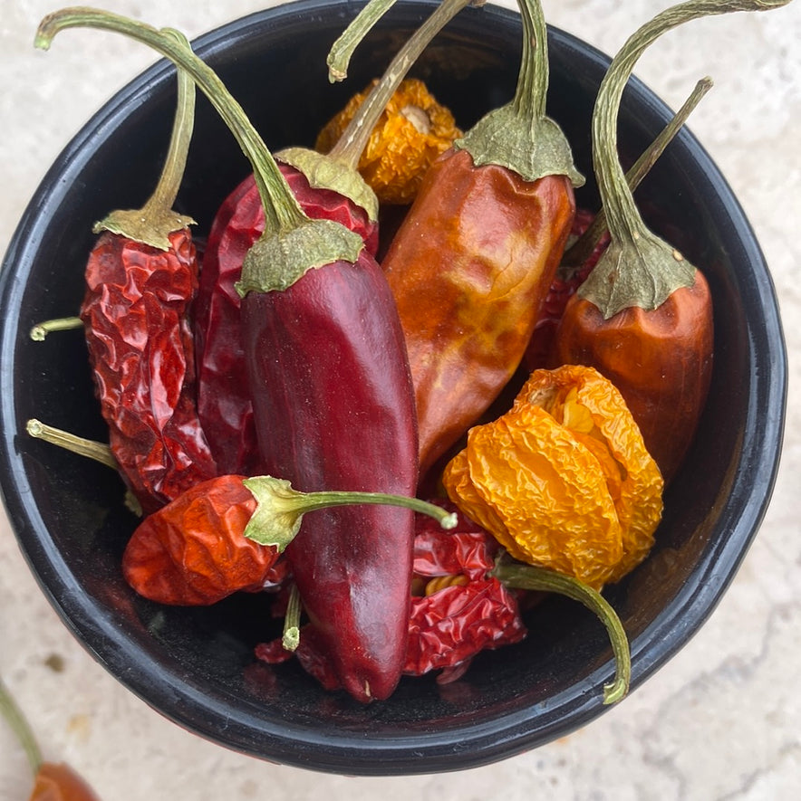 Image for "Botano Chili Mix" Chili Peppers | Biodynamic