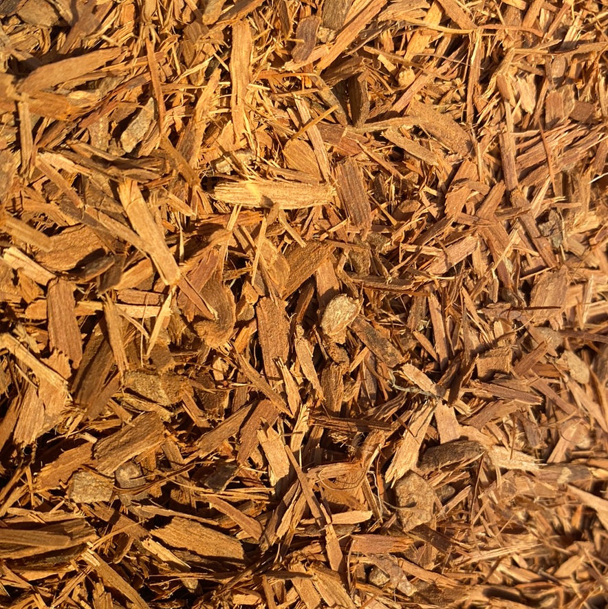 Bild für Catuaba Powder or Bark