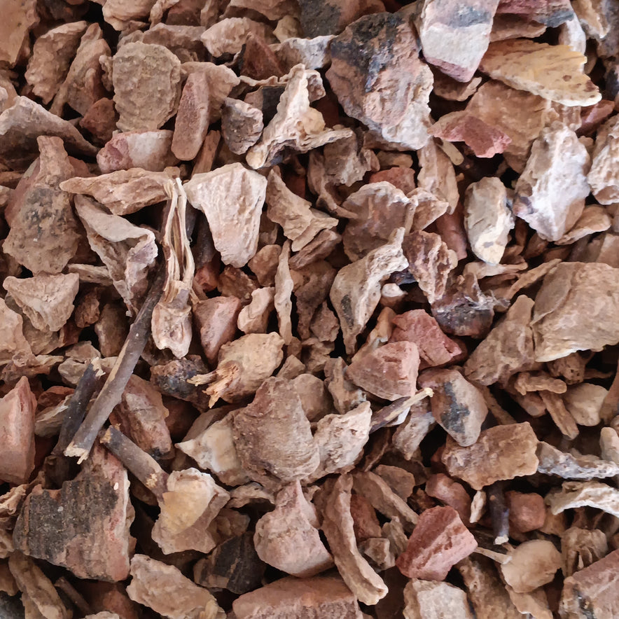 Image for Wild Yam Root (Dioscorea Villosa)