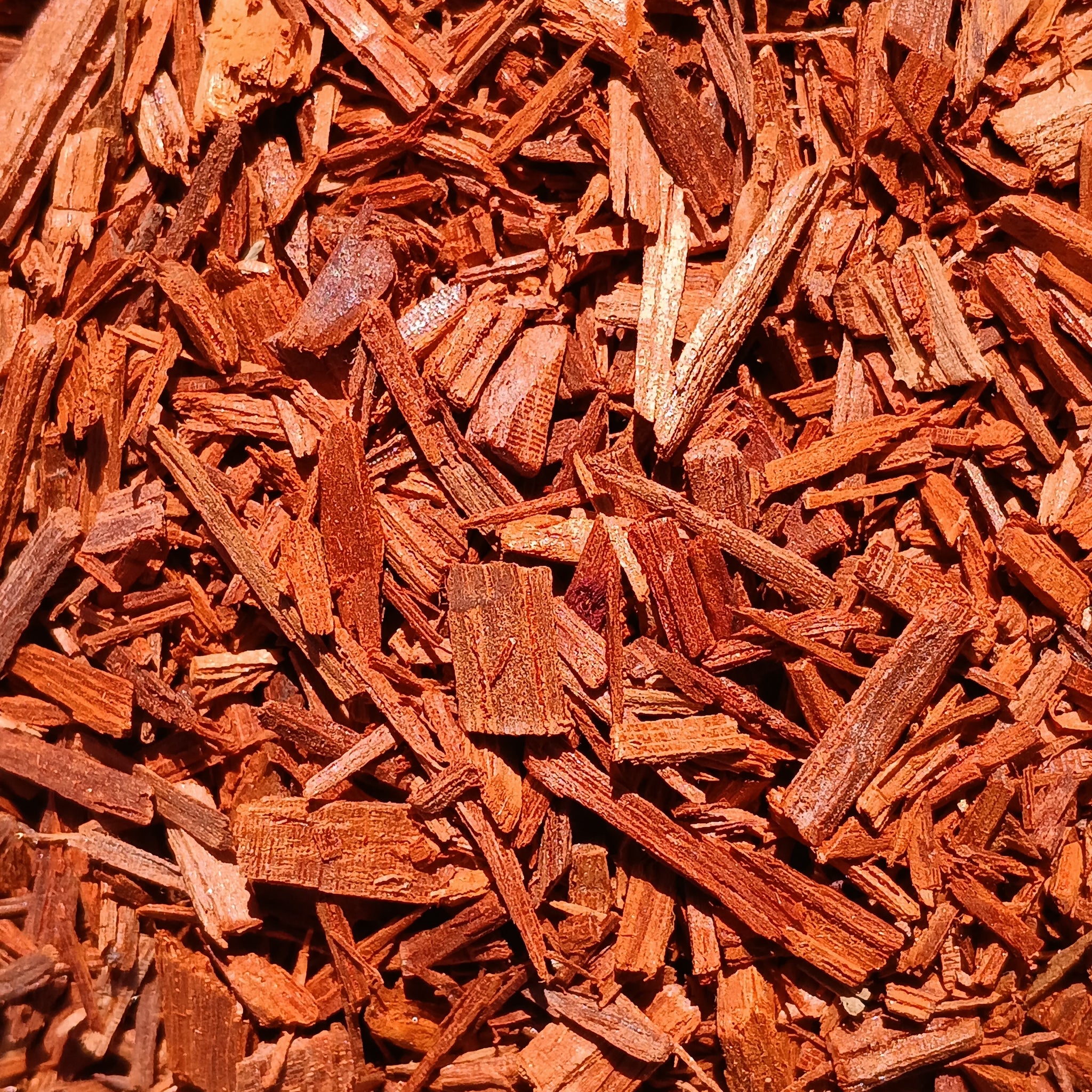 Red Sandalwood (Pterocarpus Soyauxii)