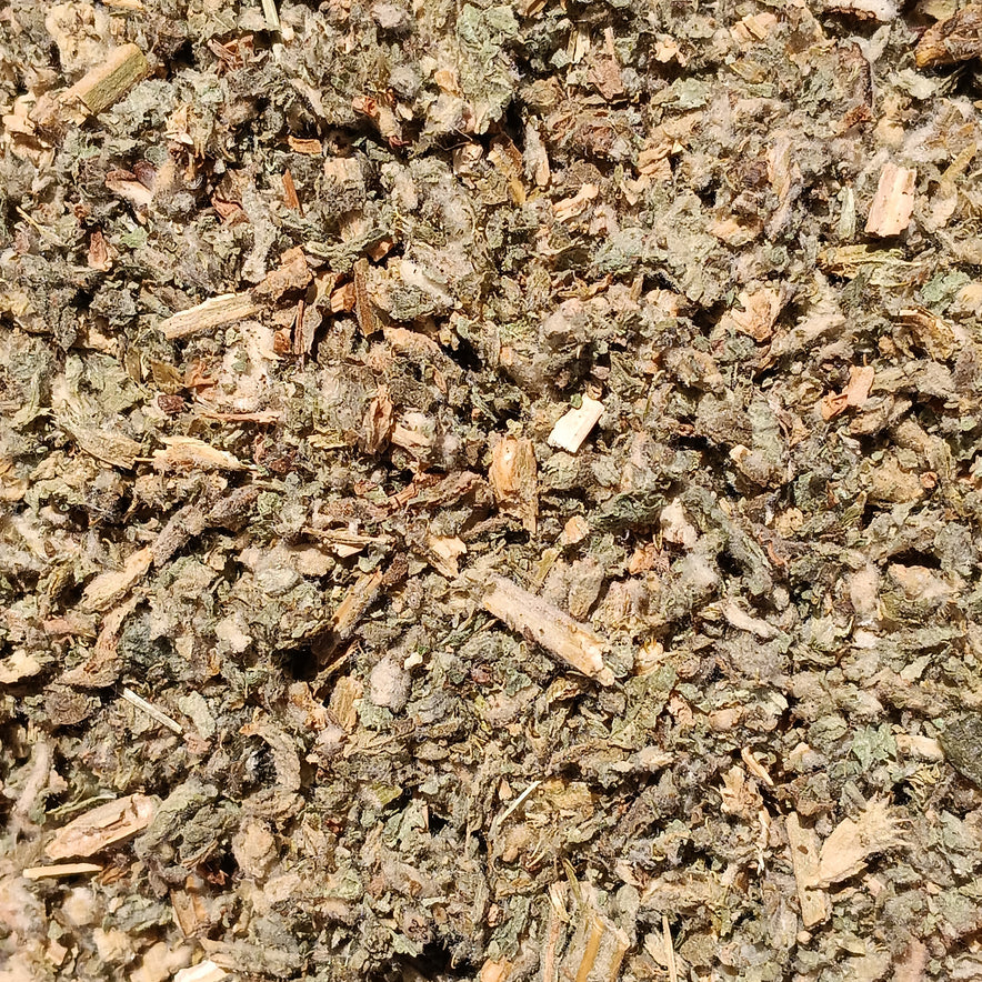 Image for Horehound (Marrubium Vulgare)