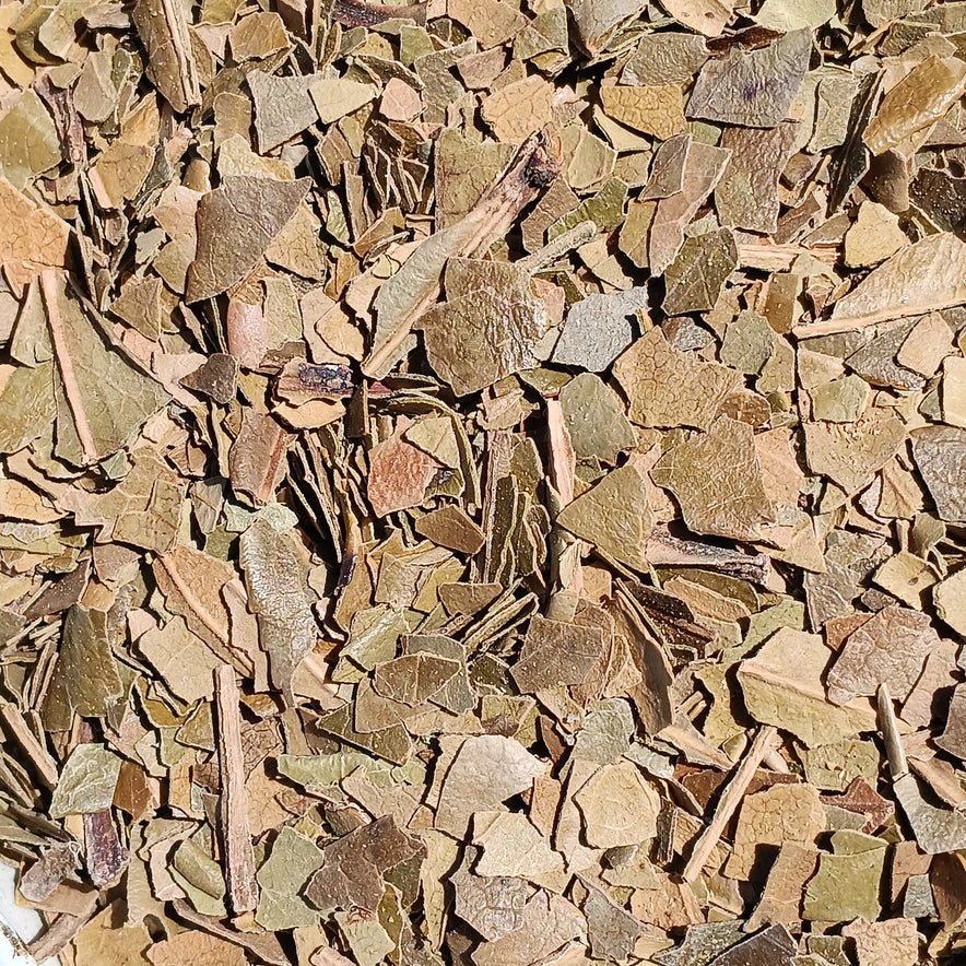 Image for Strawberry Tree (Arbutus Unedo)