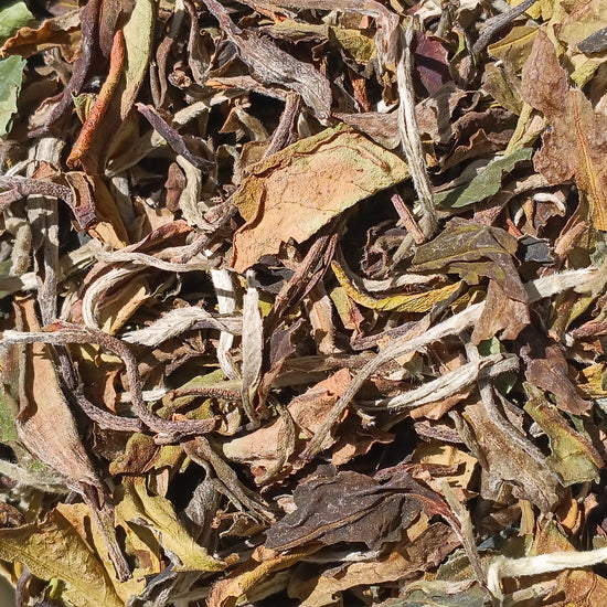 "Pai Mu Dan" White Tea - Organic