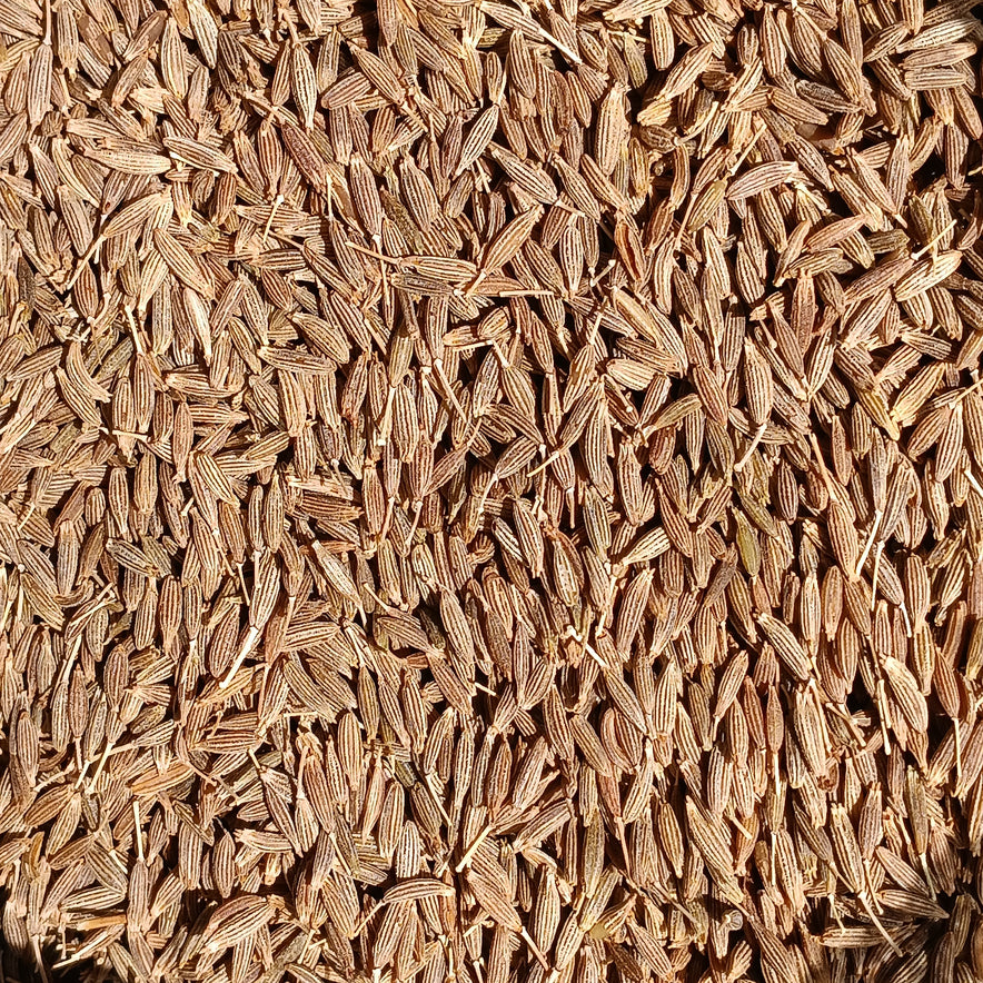 Image for Cumin Seeds (Cuminum Cyminum) I Organic