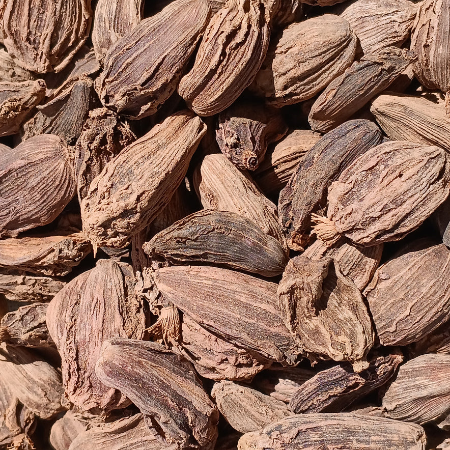 Image for Black Cardamom Pods (Amomum Subulatum)