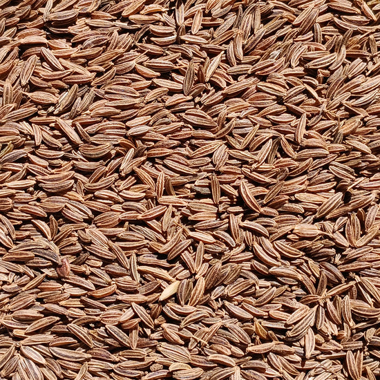 Caraway / Kümmel Seeds (Carum Carvi) I Organic