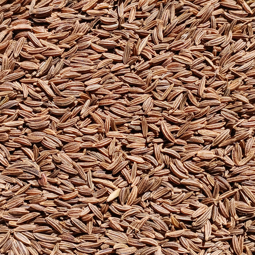 Image for Caraway / Kümmel Seeds (Carum Carvi)