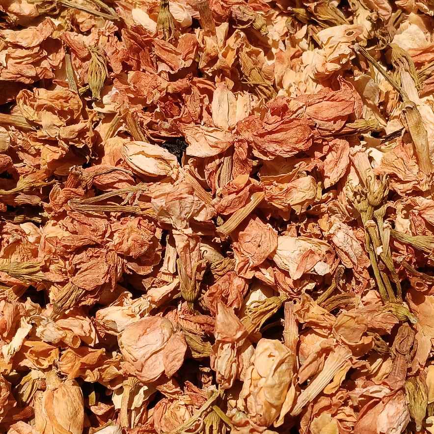 Image for Jasmine Flowers