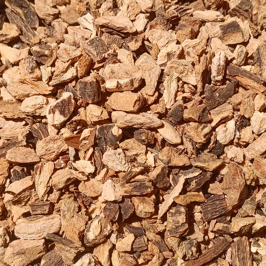 Image for Gentian Root (Gentiana Lutea)