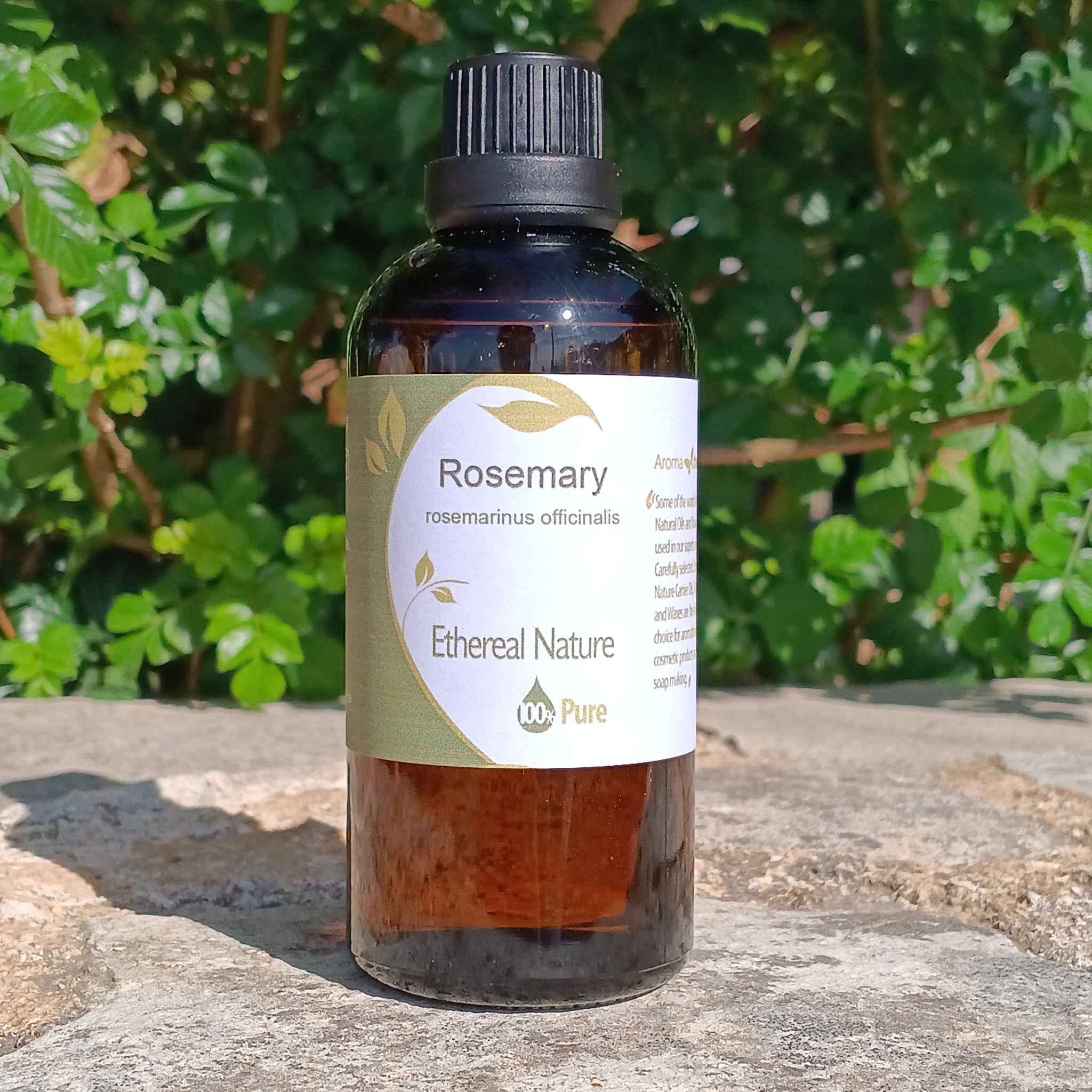 Rosemary Oil