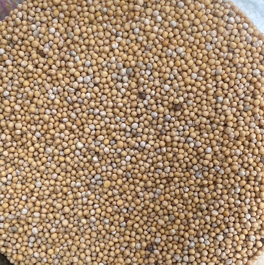 Image for Yellow Mustard Seeds I Organic
