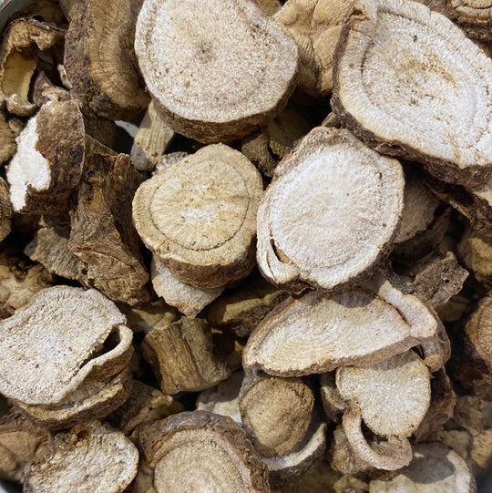 Kretische Alraunenwurzel Wild (Mandragora Officinarum)