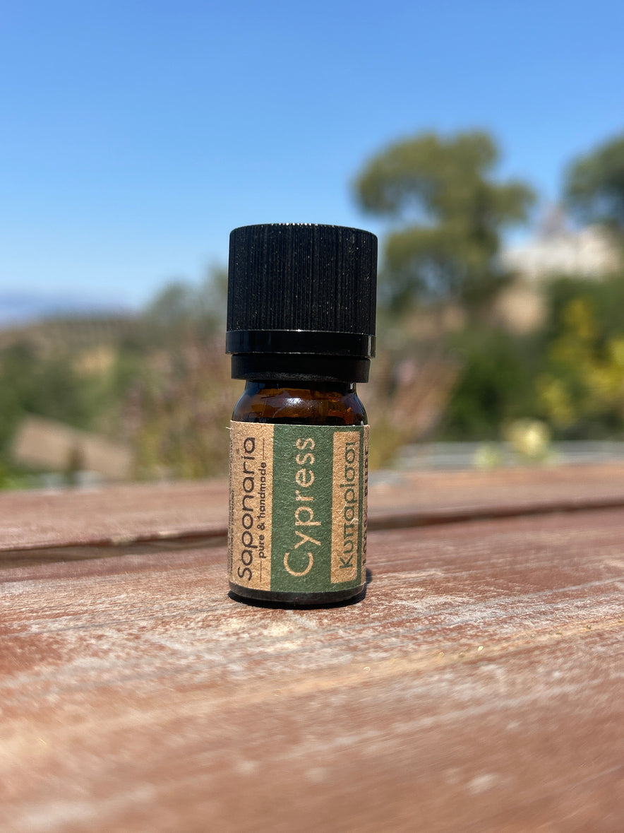 Image for Cypress Essential Oil