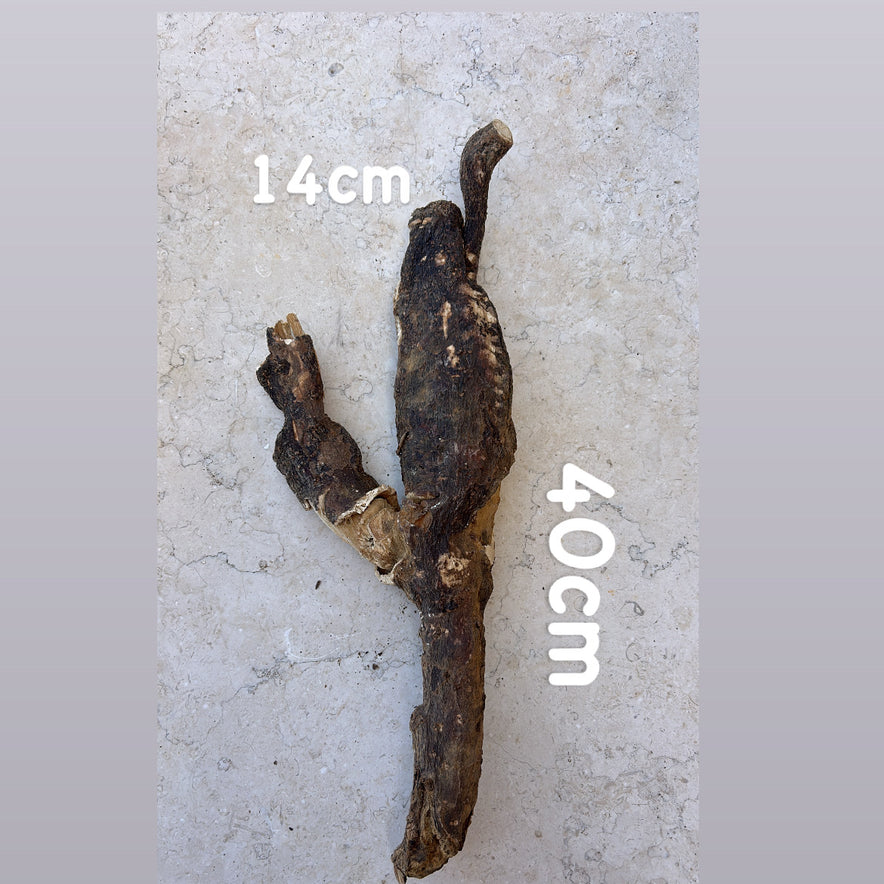 Image for Wild Cretan Mandrake Whole Root 730gr