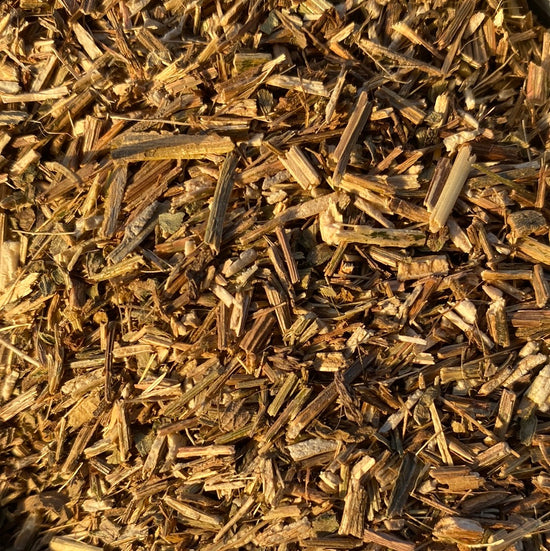 Vervain (Verbena Officinalis)