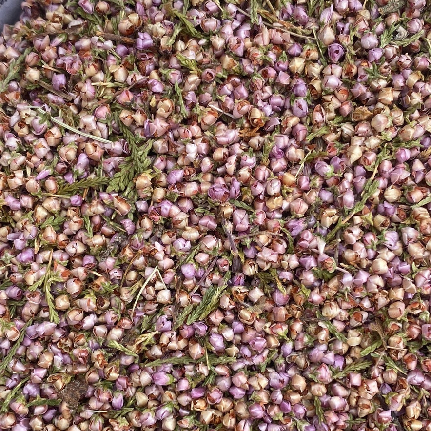 Image for Heather (Calluna Vulgaris)