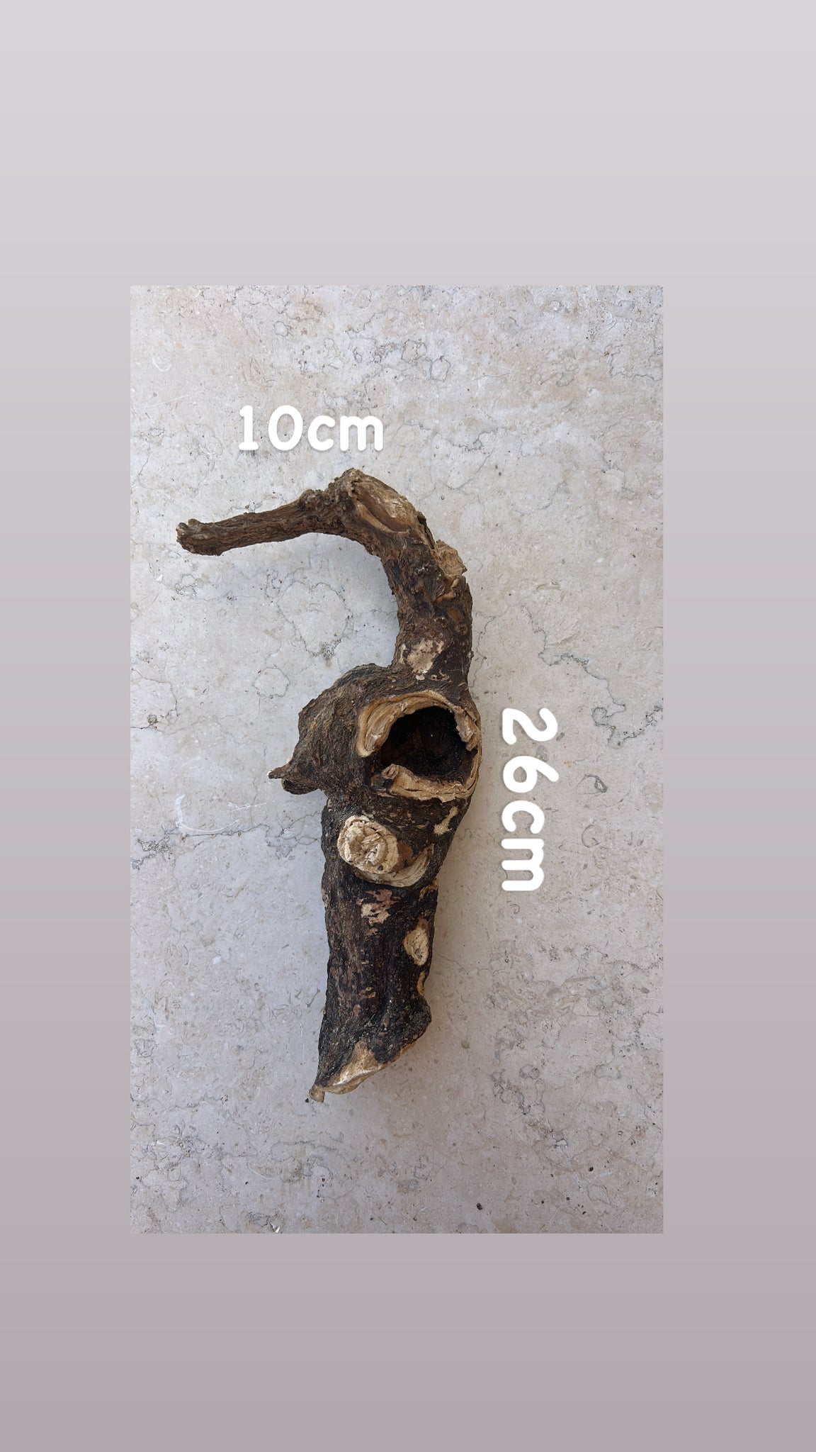 Wild Cretan Mandrake Whole Root 400gr
