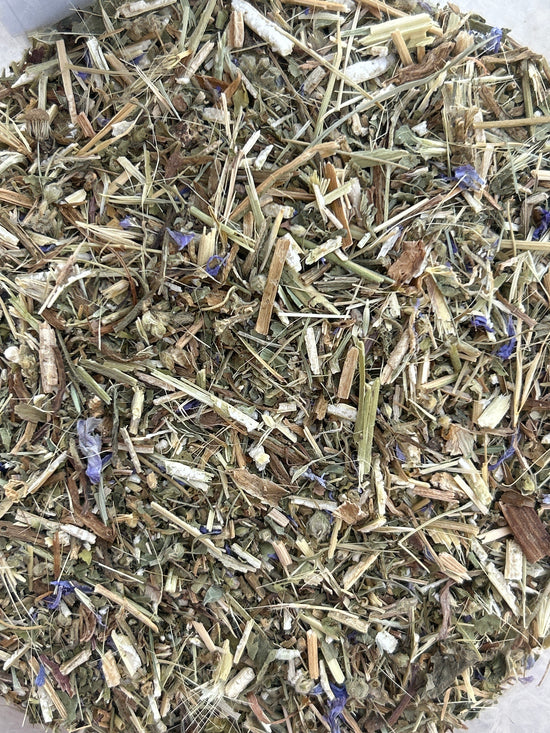 Indian Tobacco (Lobelia Inflata)