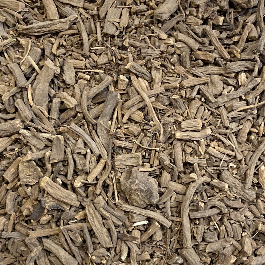 Image for Valerian Root (Valeriana officinalis)