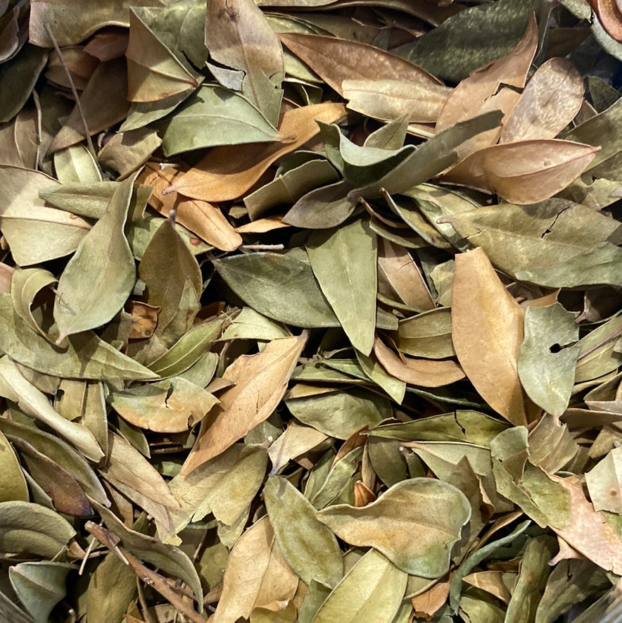 Image for Myrtle (Myrtus Communis)