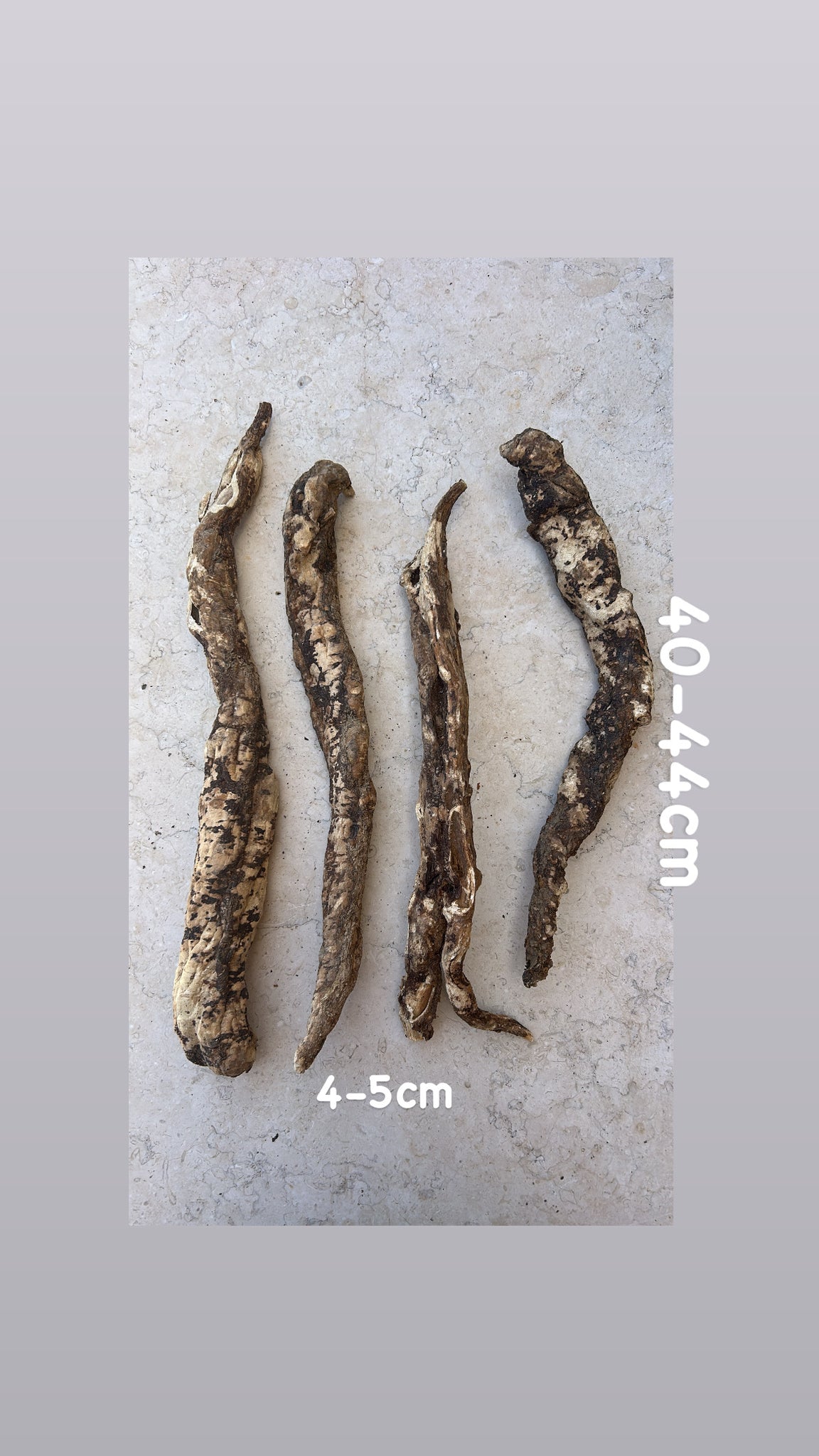 Wild Cretan Mandrake 4 Whole Roots 1.080 gr