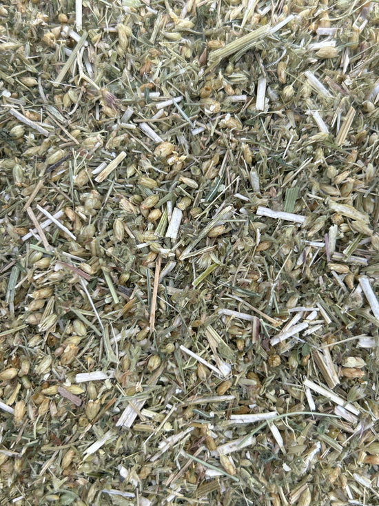 Yarrow (Achillea Millefolium)