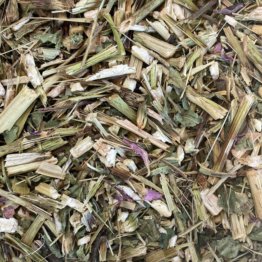 Image for Purple Coneflower Leaves (Echinacea Purpurea)