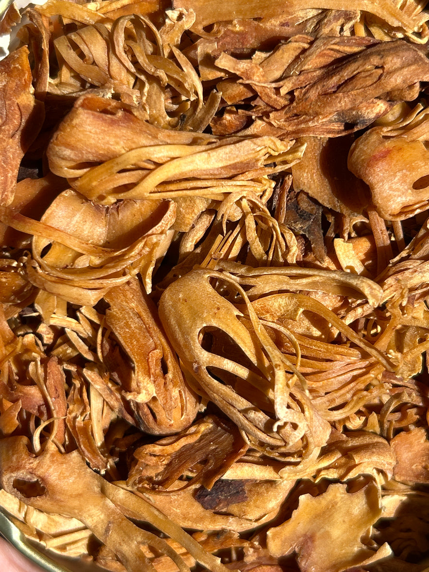 Image for Nutmeg Mace Flower (Myristica Fragrans)