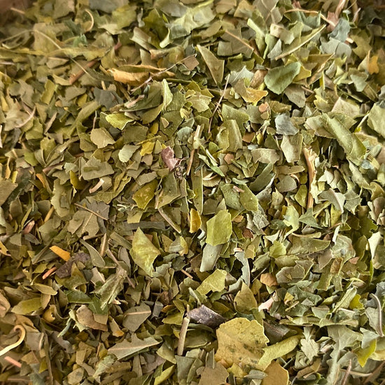 Passion Flower (Passiflora Incarnata)