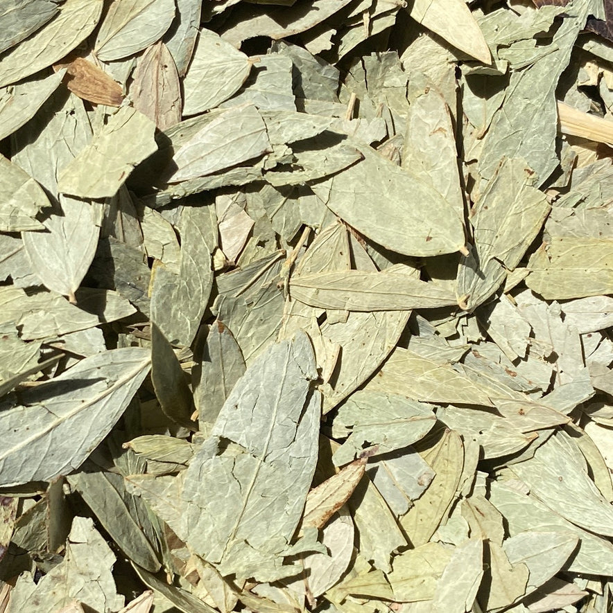 Image for Senna Leaves (Cassia Angustifolia)