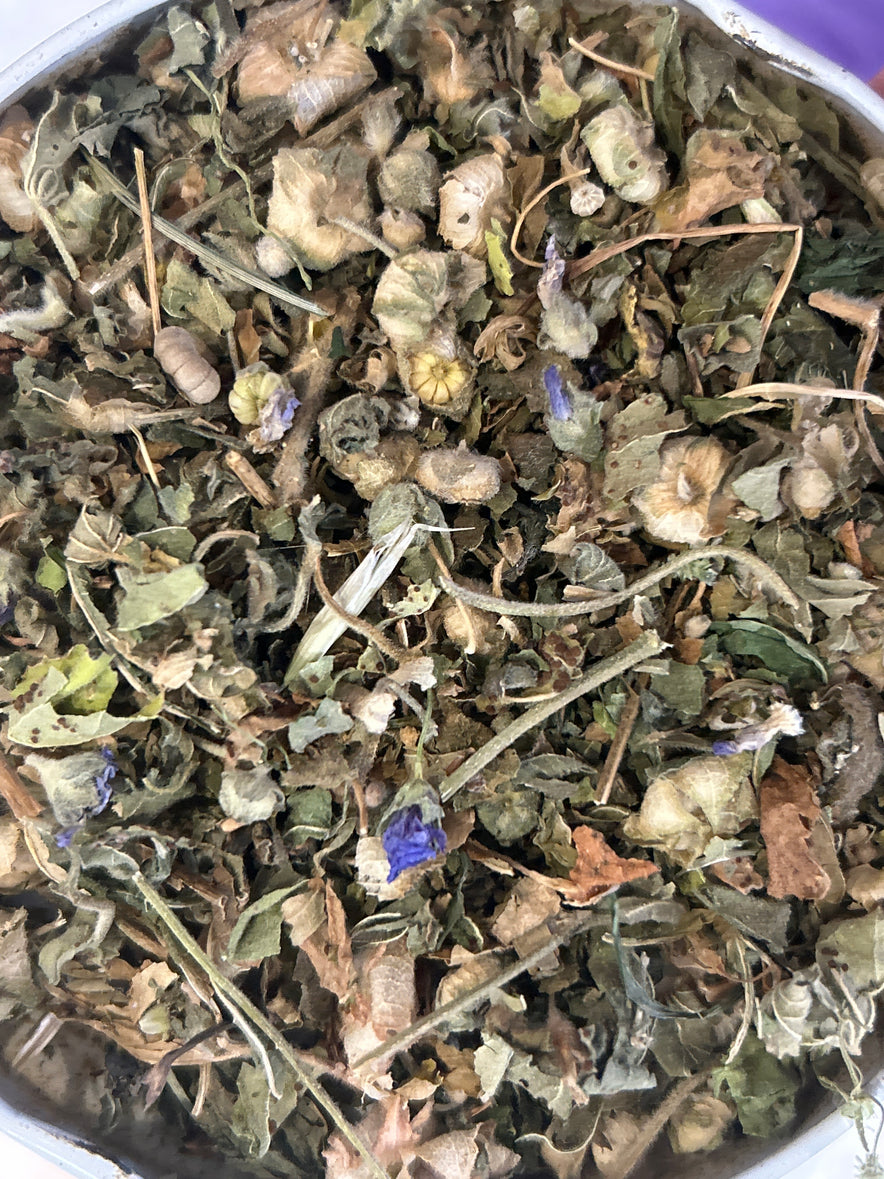 Image for Mallow (Malva Sylvestris) | Whole plant