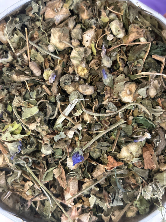 Mallow (Malva Sylvestris) | Whole plant