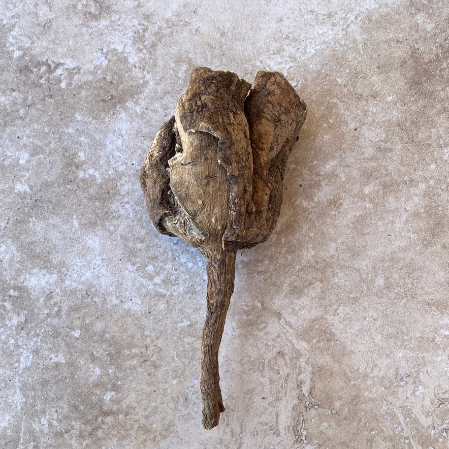 Image for Cretan Mandrake Root Wild (Mandragora Officinarum) Whole root 194 grams