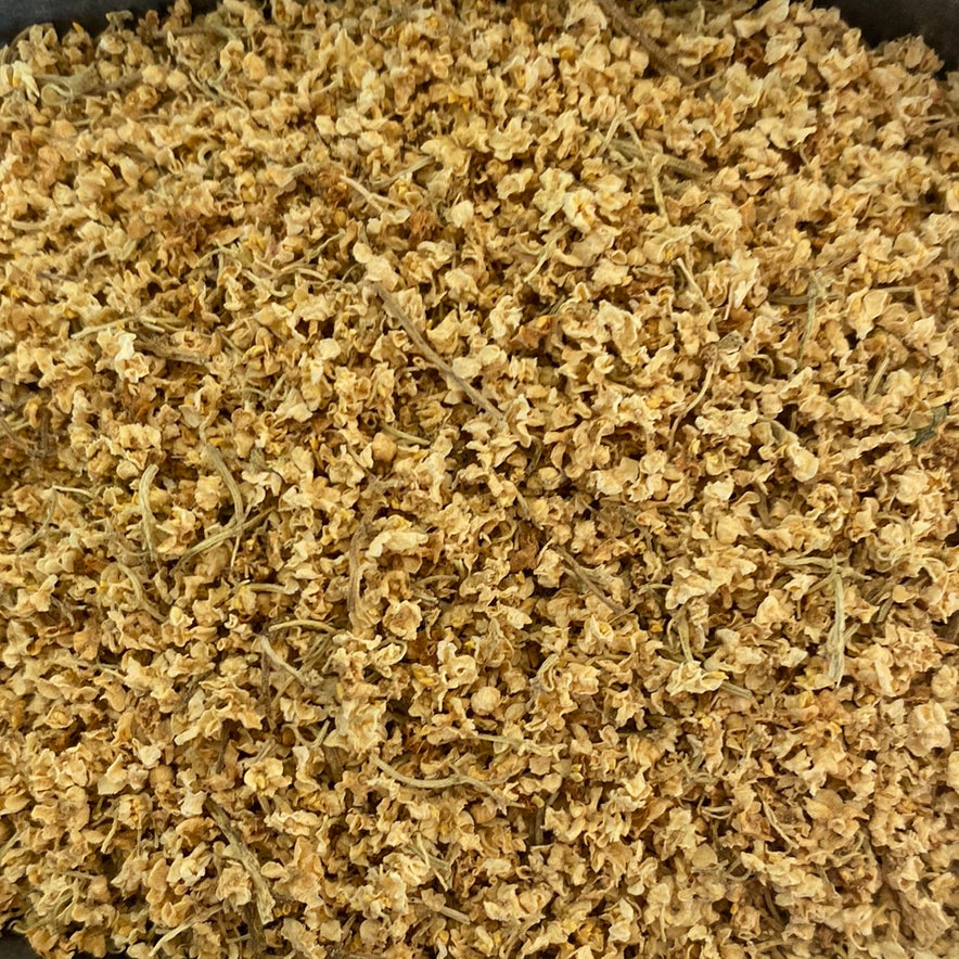 Image for Elderflower (Sambucus Nigra)