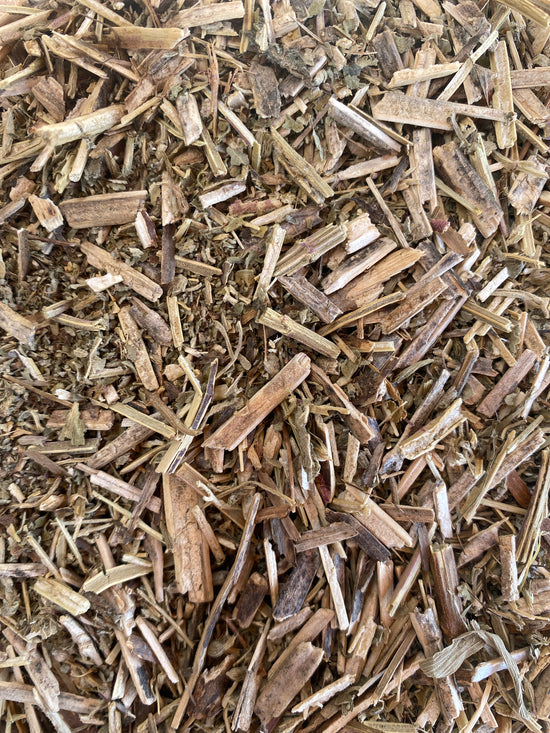 Catnip (Nepeta Cataria)