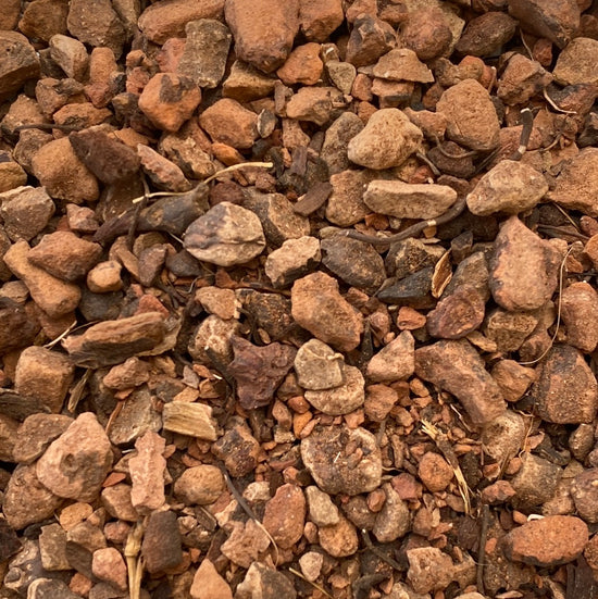 Snakeweed Root (Polygonum Bistorta)