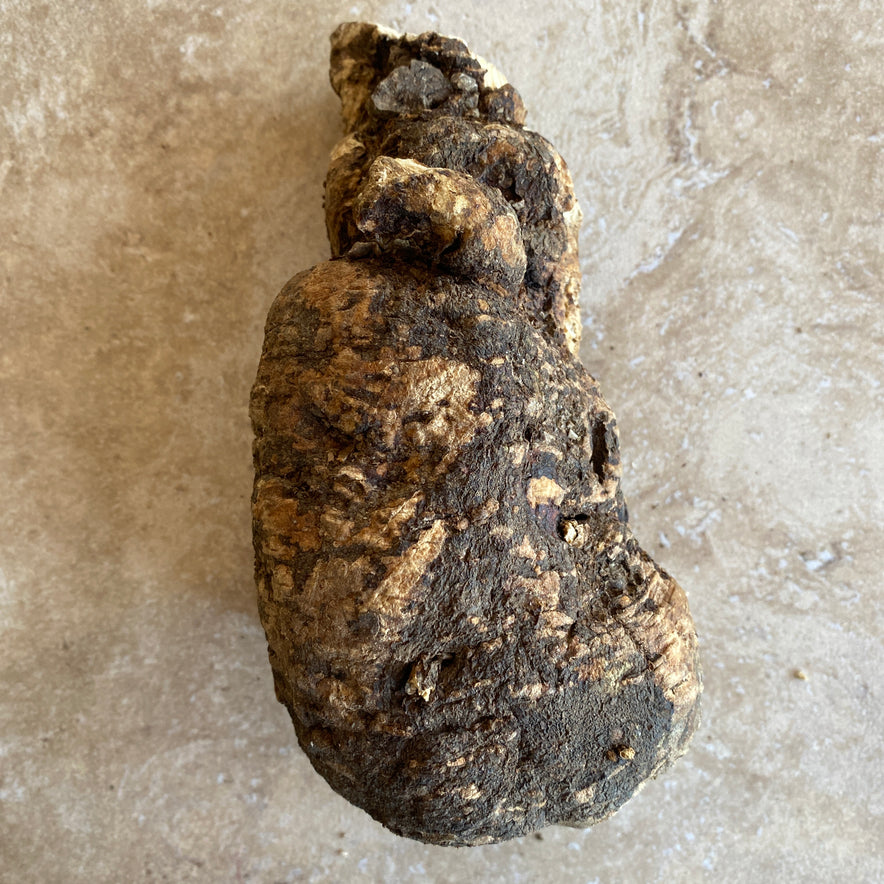 Image for Wild Cretan Mandrake Whole Root 350gr