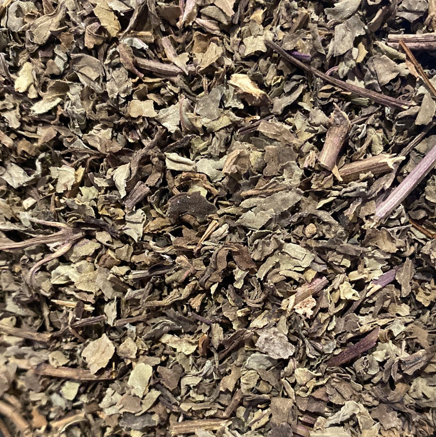 Image for Java Tea (Orthosiphon Stamineus)