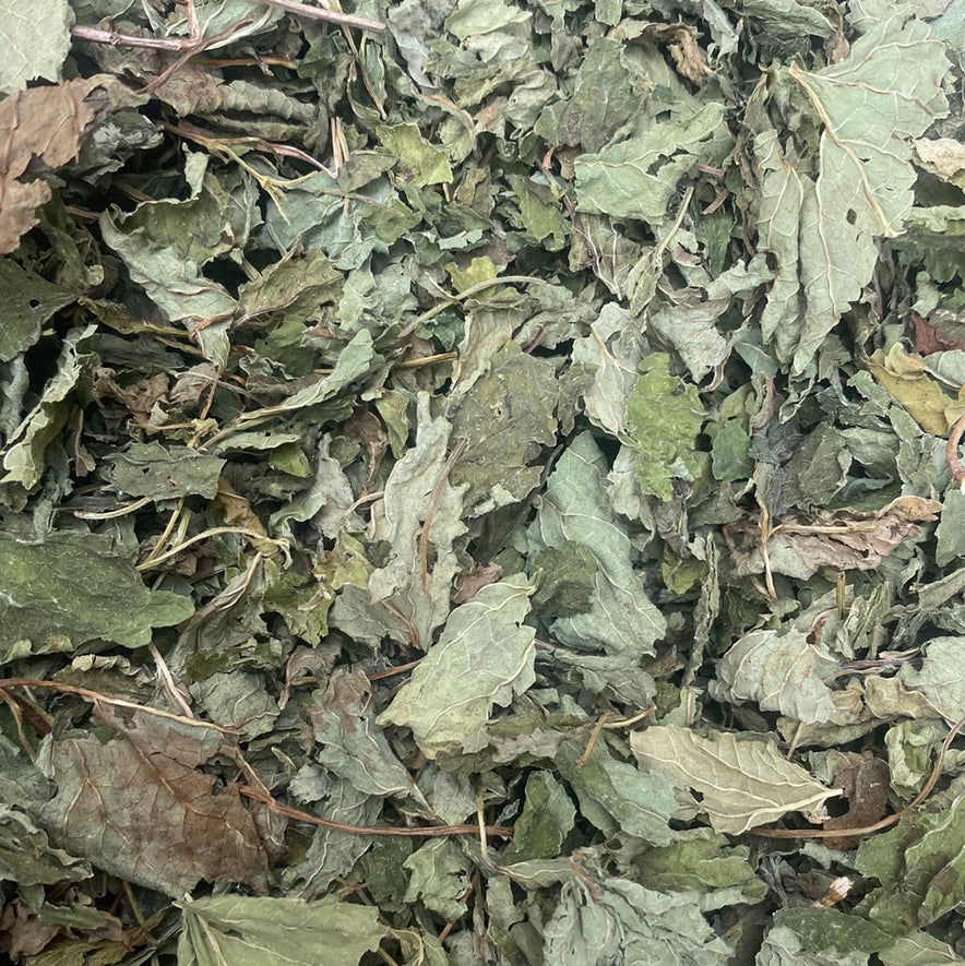 Image for Cretan Lemon Balm (Melissa Officinalis) | Organic