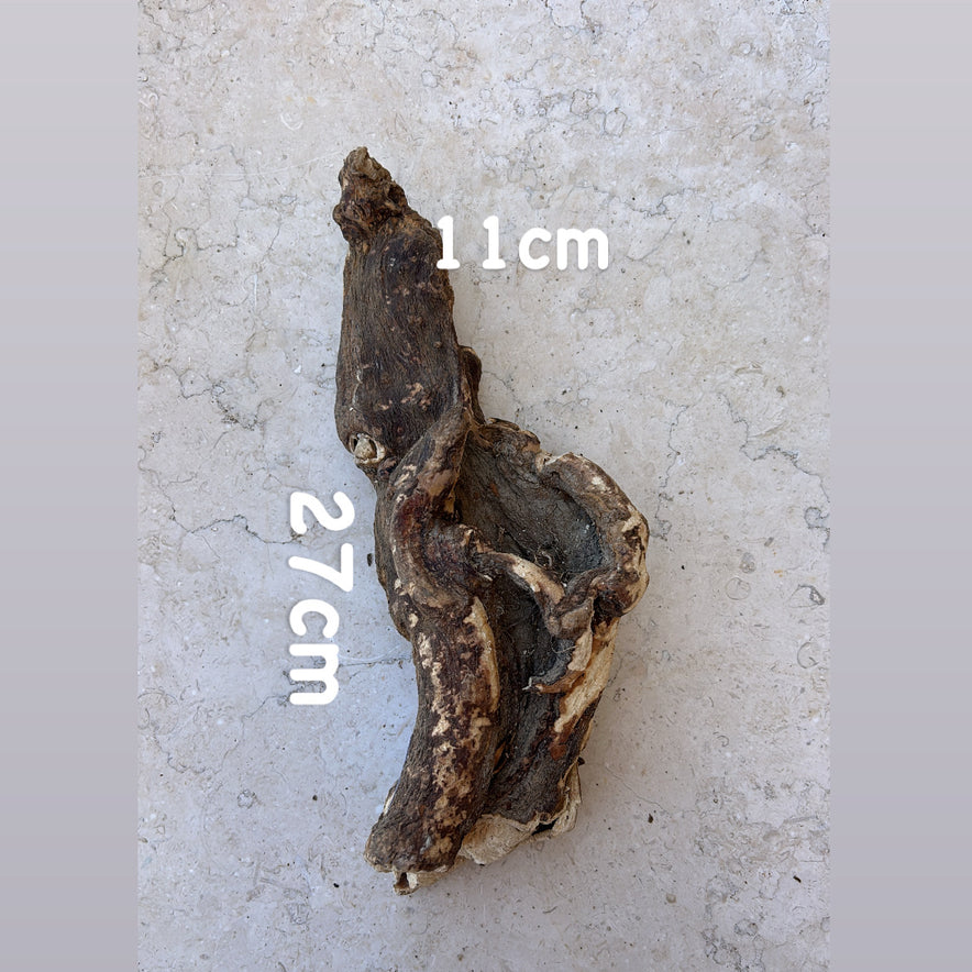 Image for Wild Cretan Mandrake Whole Root 595gr