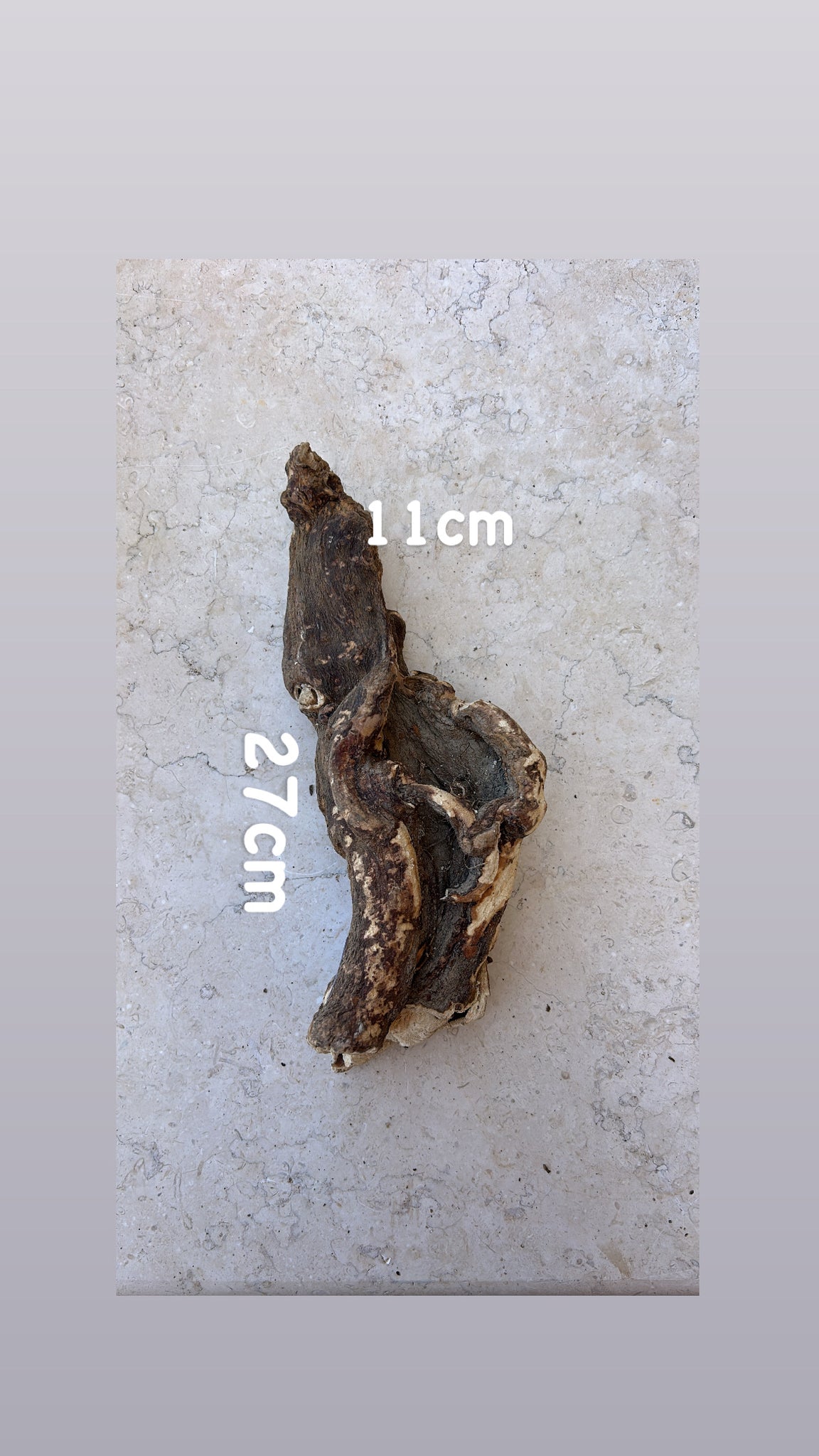 Wild Cretan Mandrake Whole Root 675gr