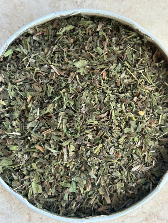 Estragon / Tarragon (Artemisia Dracunculus)
