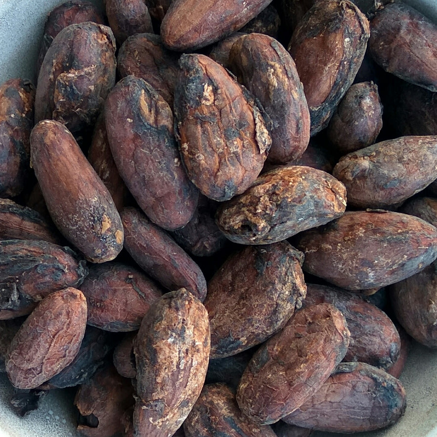 Image for Criollo Cacao Beans | Organic