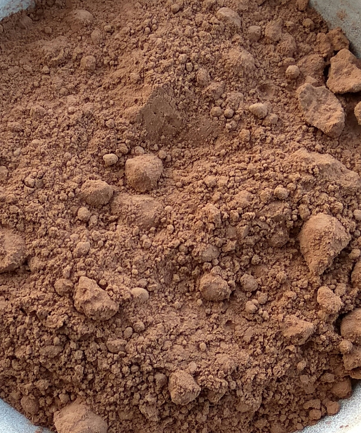 Criollo Cacao Powder | Organic