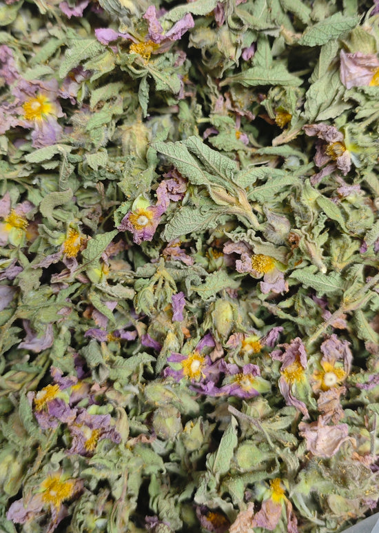 Cretan Wild Pink Rockrose Tops (Cistus Creticus ssp. Incanus)