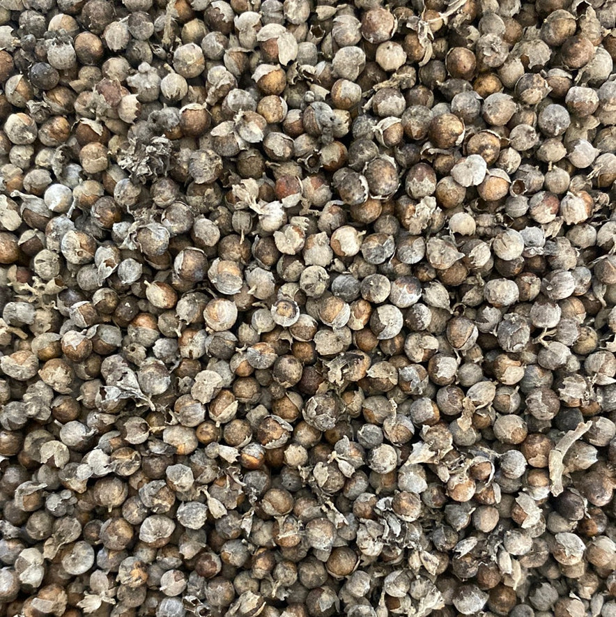 Image for Chasteberry (Vitex Agnus-Castus) - Organic