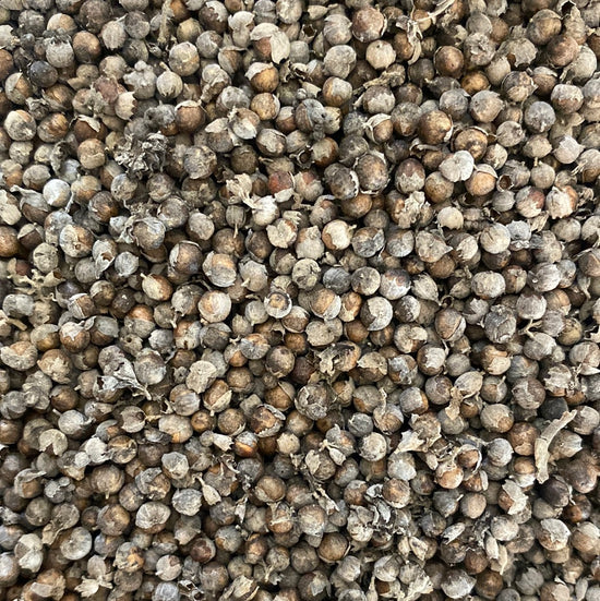 Chasteberry (Vitex Agnus-Castus) - Organic