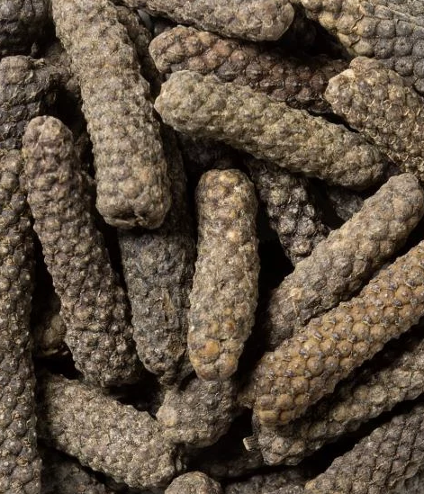 Long Pepper / Pippali (Piper Longum)